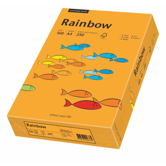 Papier ksero Rainbow A4 160g pomarańczowy R24 Papyrus