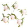 Główki kwiatowe róża 3cm/6szt Ecru DPZA-183 Dalprint