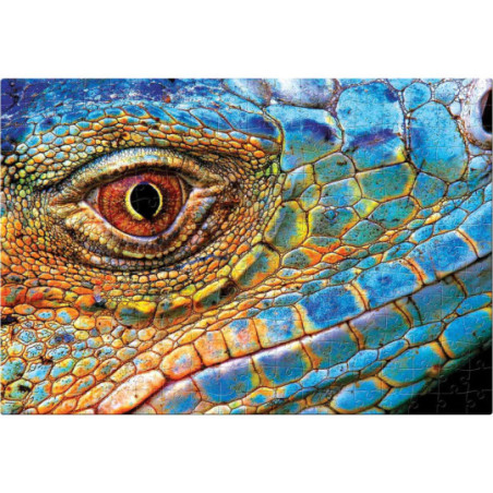 Puzzle 250 Colourful Nature 5 Lizard Interdruk