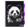 Kołozeszyt A4/100k. kr Project Book Panda 80g Strigo PADS021 WPC
