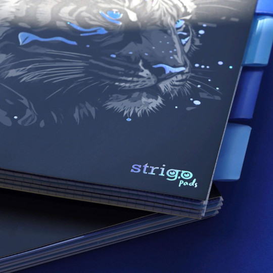 Kołozeszyt A4/100k. kr Project Book Tygrys 80g Strigo PADS020 WPC