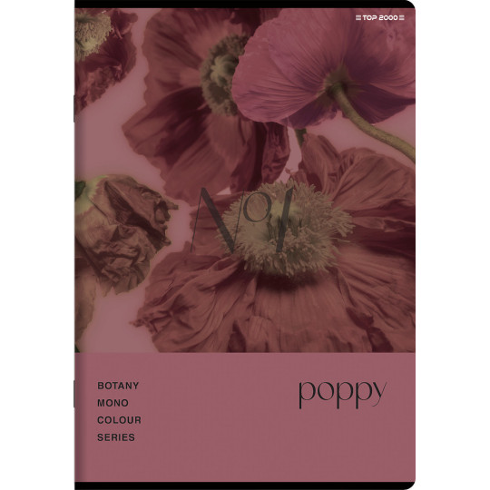 Zeszyt A5/60k kratka Botany 70g TOP2000