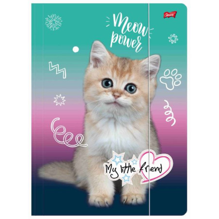 Teczka z gumką A4 300g/m2 My Little Friend Kitty Party mkmp Majewski 692147