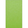 Papier wizytówkowy A4/20 Kreska gładki zielony